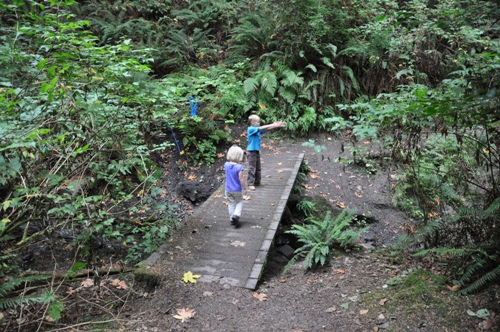 Seahurst Park hiking