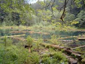 Beaverdam Lake