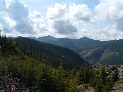 Enumclaw State Forest