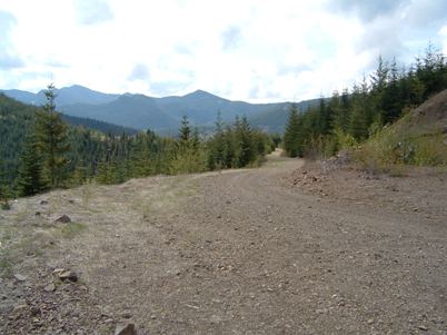 Enumclaw State Forest