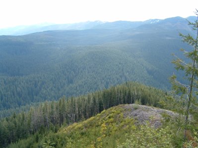 Charley Creek Natural Area 