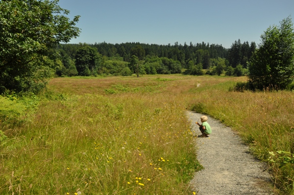 Evans Creek Preserve