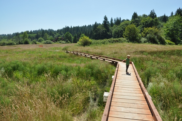 Evans Creek Preserve