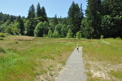 Evans Creek Preserve