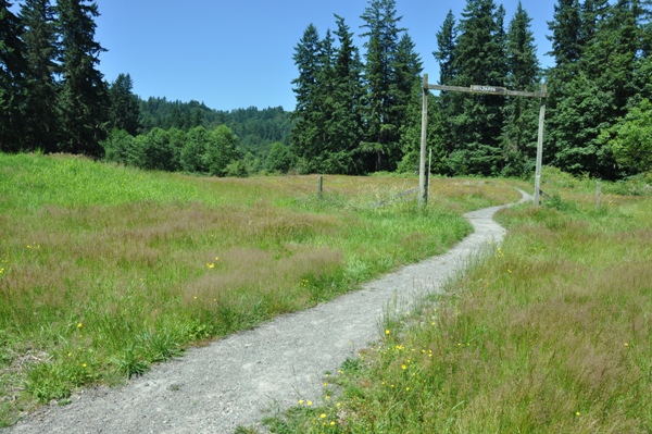 Evans Creek Preserve