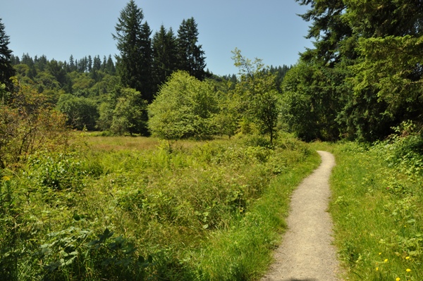 Evans Creek Preserve