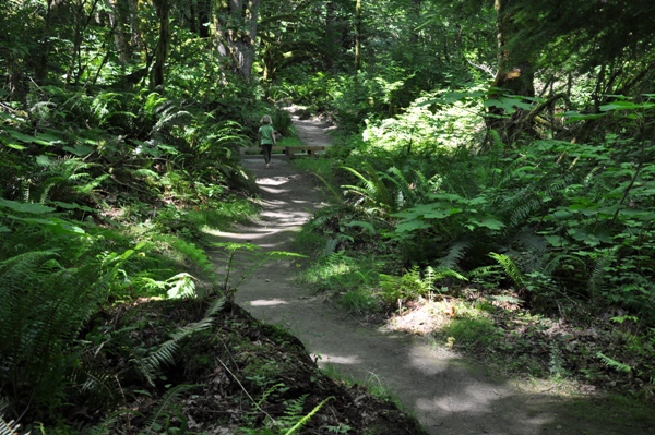 Evans Creek Preserve