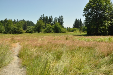 Evans Creek Preserve