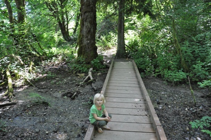 Evans Creek Preserve