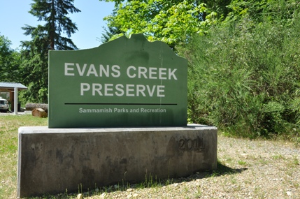 Evans Creek Preserve