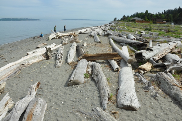 fay bainbridge park