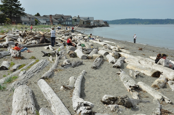 beach at fay bainbridge