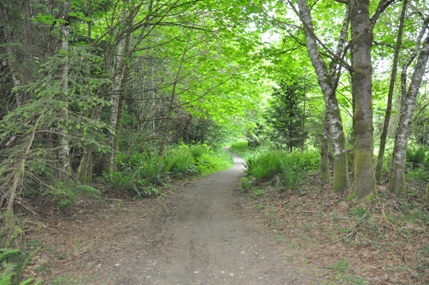 Gazzam Lake Preserve 