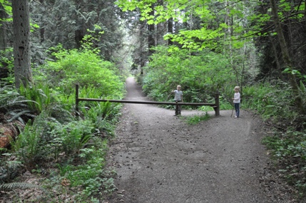 Gazzam Lake Trail