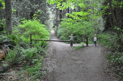 Gazzam Lake Trail