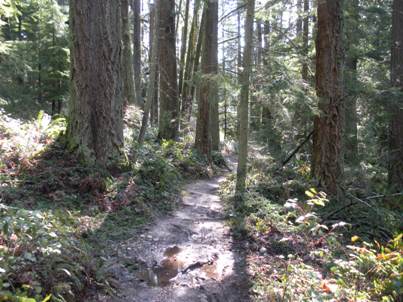 grand ridge trail