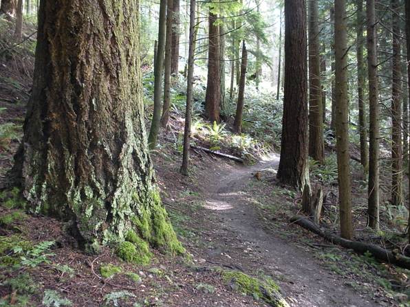 Grand Ridge Trail