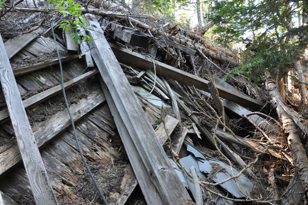 grass mountain lookout