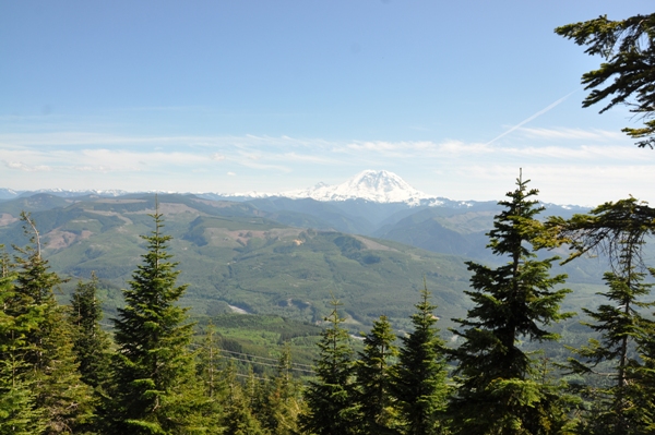 Mount Rainier 