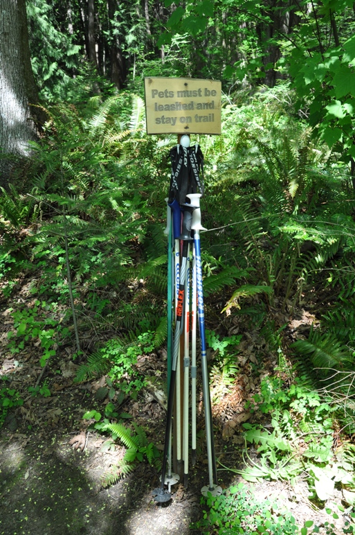 hiking poles