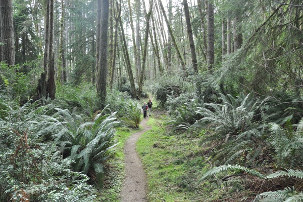 Margaret Trail