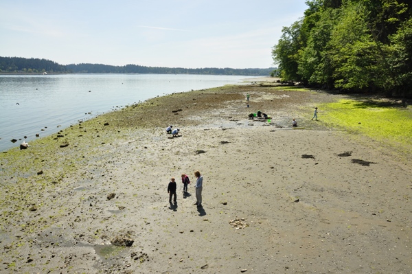 Illahee State Park