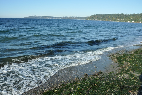 Beach near Three Tree Point