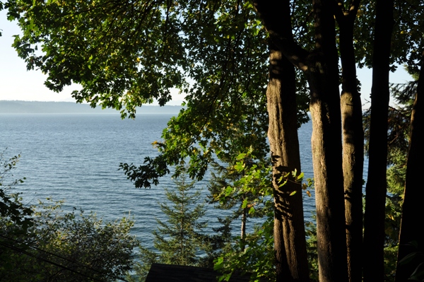 Puget Sound View