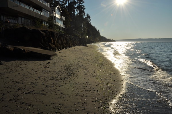 Three Tree Point Beach