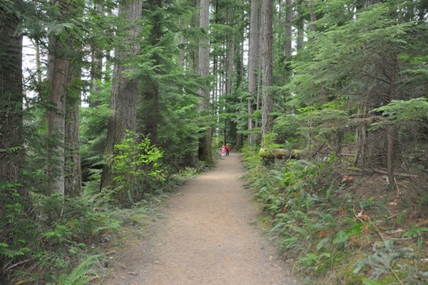 Klahanie hiking trail