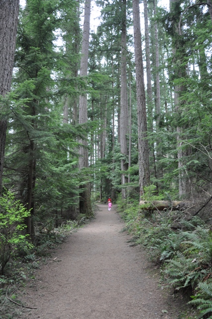 Klahanie hiking trail