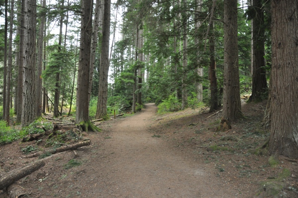 Klahanie hiking trail