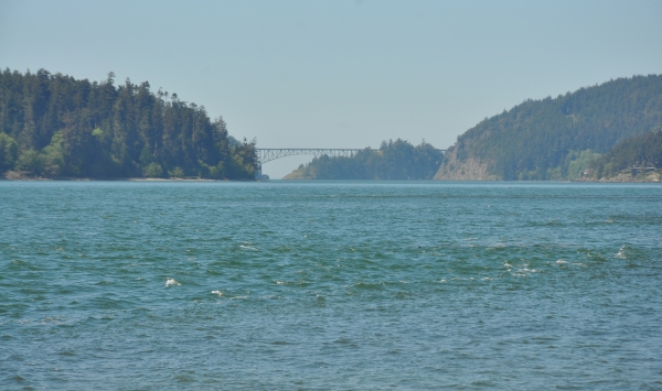 Deception Pass Bridge