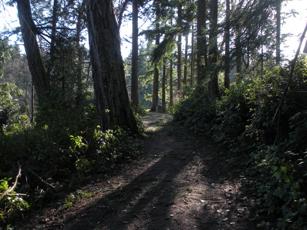 Trail to the Lake Killarney 