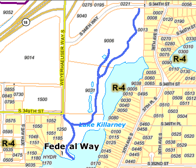 parcel map