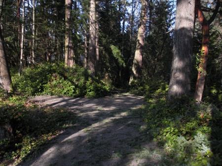 Lake Killarney trails