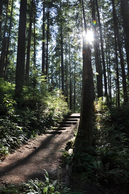 memorial forest