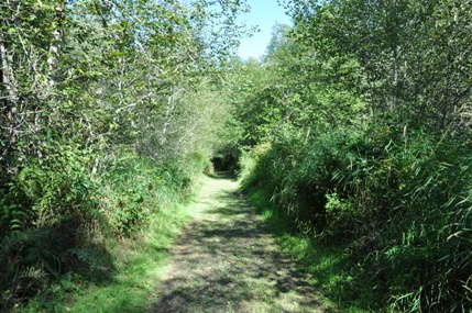 trail hike