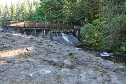 Sylvia Creek dam