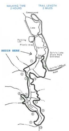 Sylvia Creek Forestry Trail Map