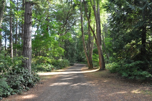 Lincoln Park hiking trail