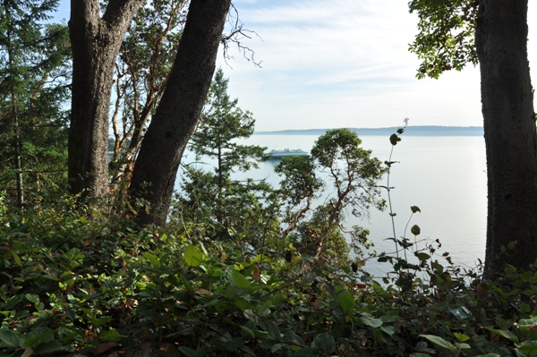 Lincoln Park view