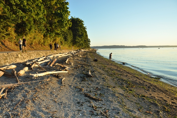 Lincoln Park Beach