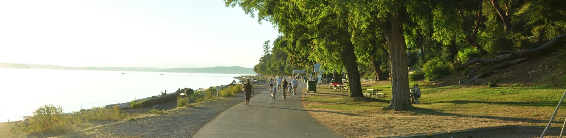 Lincoln Park trail