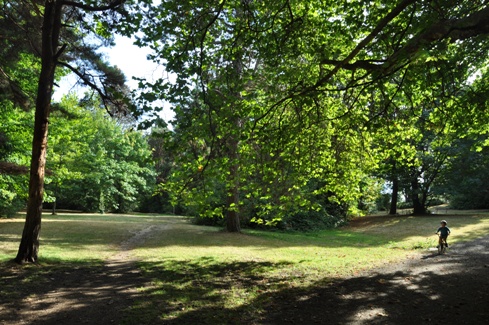 Lincoln Park hiking trail