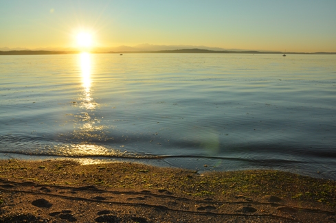 Sunset at Lincoln Park