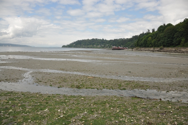 Meadowdale Beach