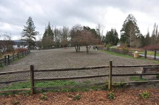 Off-Leash Dog Area