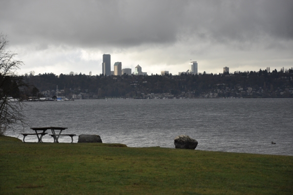 seattle from Calkins Point