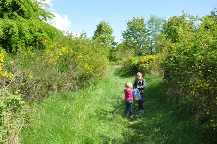 Hiking trail